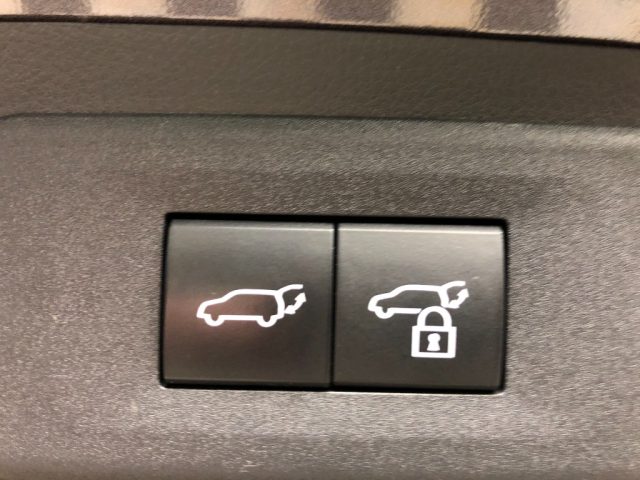 LEXUS NX 450h usata, con Cruise Control