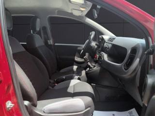 FIAT Panda usata 13