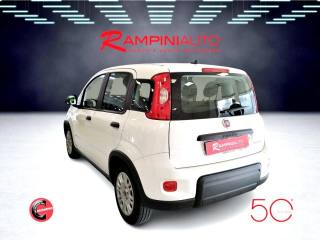 FIAT Panda usata 8