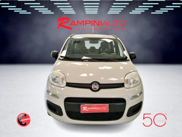 FIAT Panda usata 2