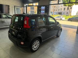 FIAT Panda usata, con Alzacristalli elettrici