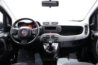 FIAT New Panda usata 22