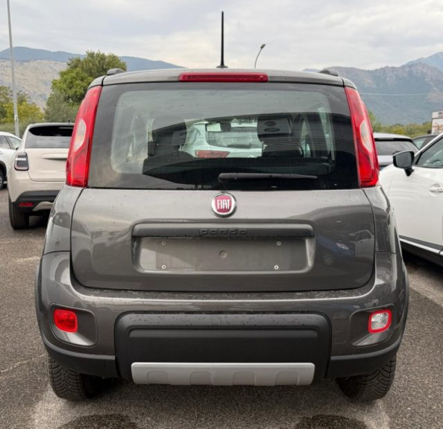 FIAT Panda usata, con Antifurto