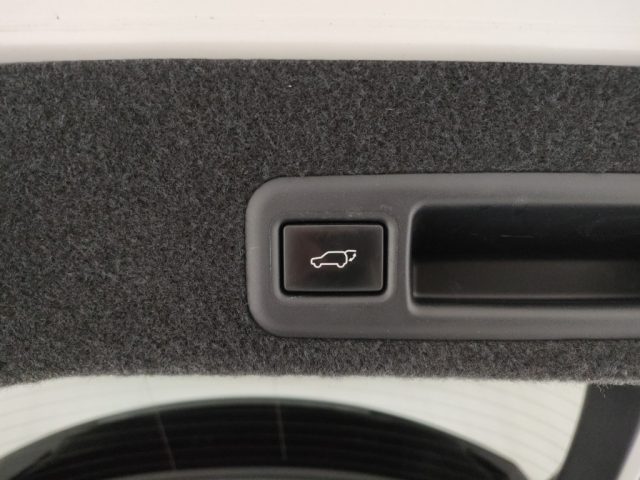 LEXUS RX 450h usata, con USB