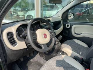 FIAT Panda usata, con Controllo trazione