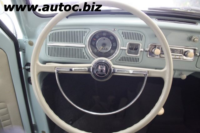 VOLKSWAGEN Maggiolino usata 8