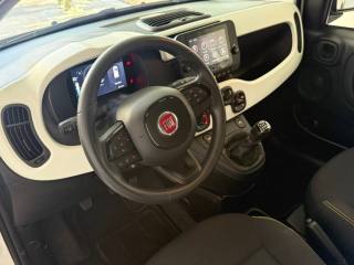FIAT Panda Cross usata, con Sensori di parcheggio posteriori