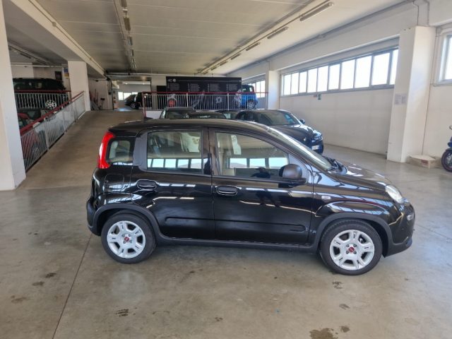 FIAT Panda usata, con Airbag Passeggero