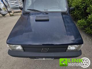 FIAT Panda usata 7