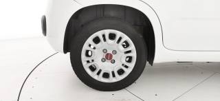 FIAT Panda usata 31