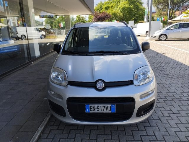 FIAT Panda usata 13