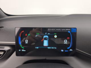 BYD Dolphin Surf usata, con Immobilizzatore elettronico