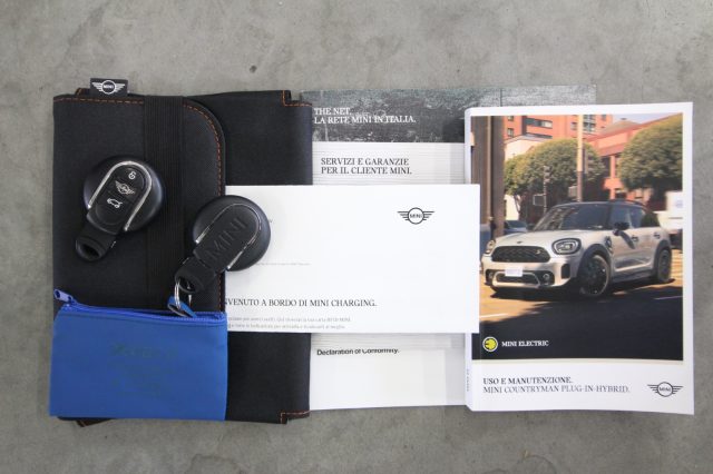 MINI Countryman usata, con Trazione integrale