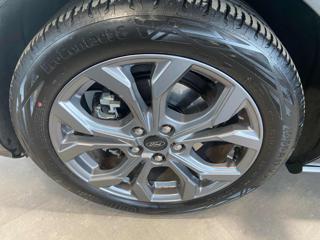 FORD Focus usata, con Servosterzo