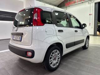 FIAT Panda usata 32