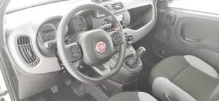 FIAT Panda usata 53