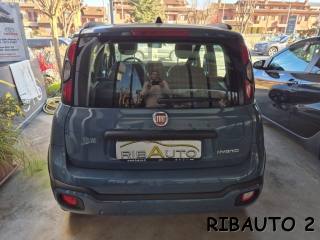 FIAT Panda Cross usata, con USB