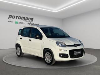 FIAT Panda usata 2