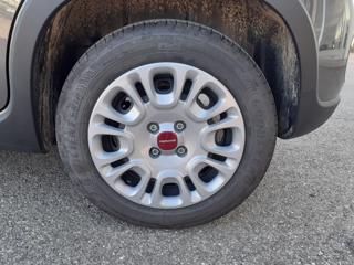 FIAT Panda usata, con Immobilizzatore elettronico