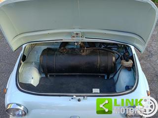 FIAT 500L usata 19