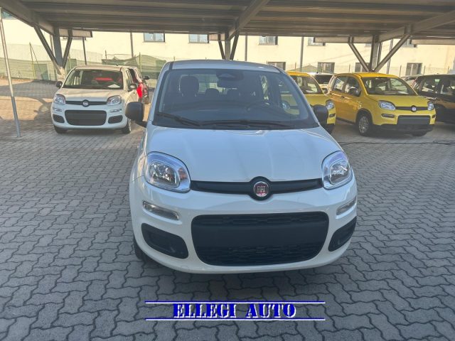 FIAT Panda usata, con Antifurto