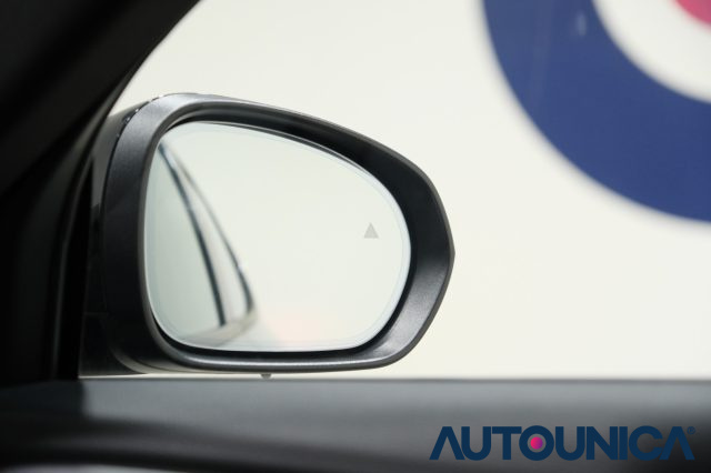 ALFA ROMEO Tonale usata, con Vivavoce