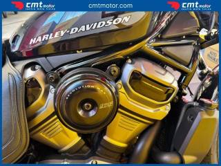 HARLEY-DAVIDSON Other usata 13