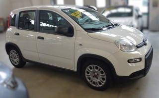 FIAT Panda usata, con Airbag