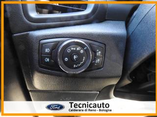 FORD EcoSport usata, con Vetri oscurati