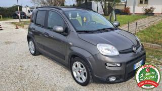 FIAT Panda usata, con Controllo trazione