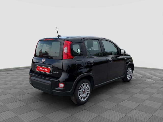 FIAT Panda usata 4