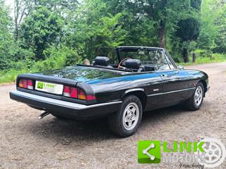 ALFA ROMEO Spider usata 13
