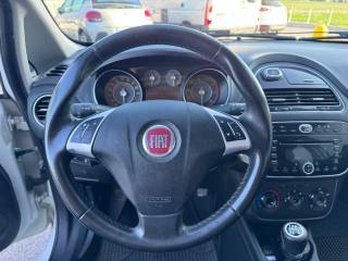 FIAT Punto usata, con Fendinebbia