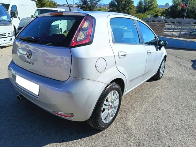 FIAT Punto usata 6