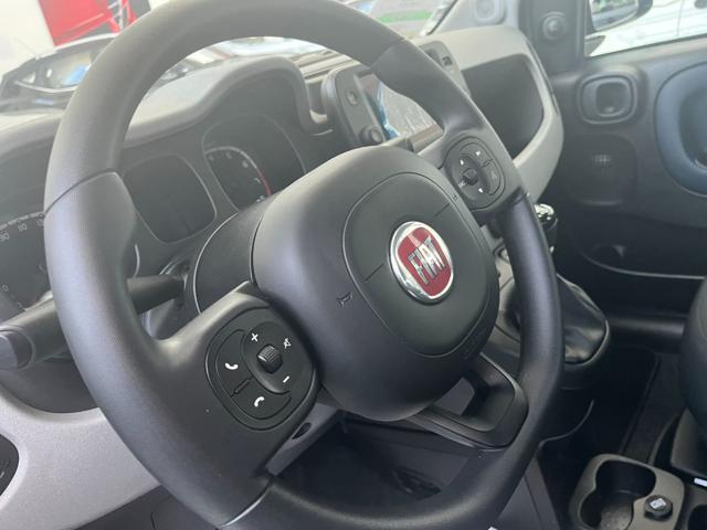 FIAT Panda Cross usata, con Controllo trazione
