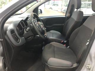 FIAT Panda usata, con Airbag testa