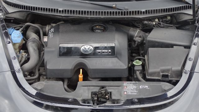 VOLKSWAGEN New Beetle usata, con Fendinebbia