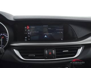 ALFA ROMEO Stelvio usata 14