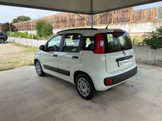 FIAT Panda usata, con Alzacristalli elettrici