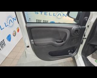 FIAT New Panda usata 19