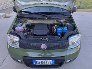 FIAT Panda usata 22