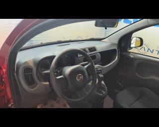 FIAT New Panda usata, con Controllo automatico clima