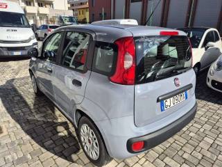 FIAT Panda usata, con Airbag Passeggero