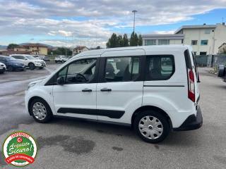 FORD Transit Connect usata, con Fendinebbia