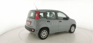 FIAT Panda usata 17