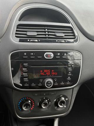 FIAT Punto usata 13