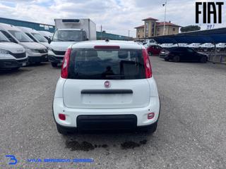 FIAT Panda usata, con Antifurto