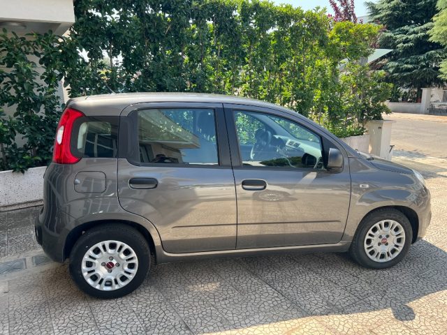 FIAT Panda usata 5