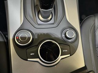 ALFA ROMEO Stelvio usata, con ESP
