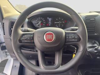 FIAT Ducato usata 10